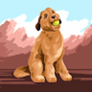 Meet your Posher, Marisa